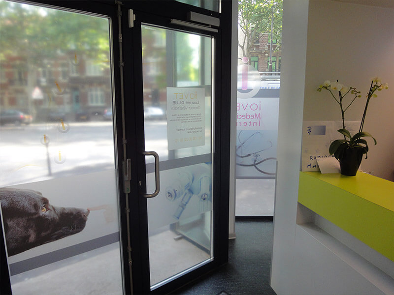 Entrée de la clinique vétérinaire Io Vet à Lille, avec porte vitrée décorée de motifs d'un chien et d'une seringue, et comptoir moderne avec orchidée blanche