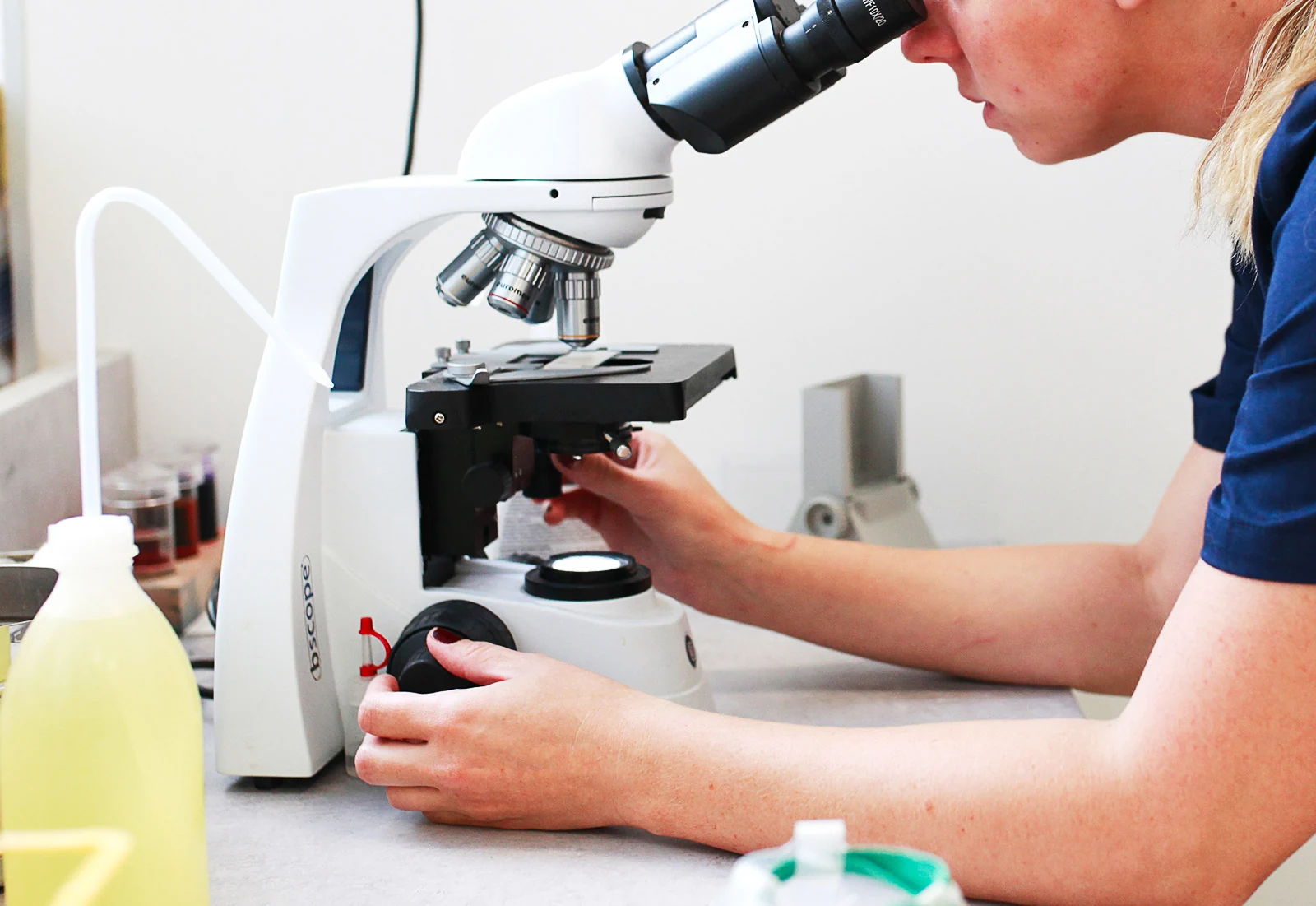 Vétérinaire réalisant une analyses de sang au microscope, dans la clinique IO vet à Lille (59)