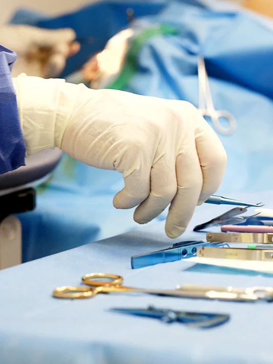Main d'un chirurgien vétérinaire manipulant des outils chirurgicaux lors d'une opération du thorax