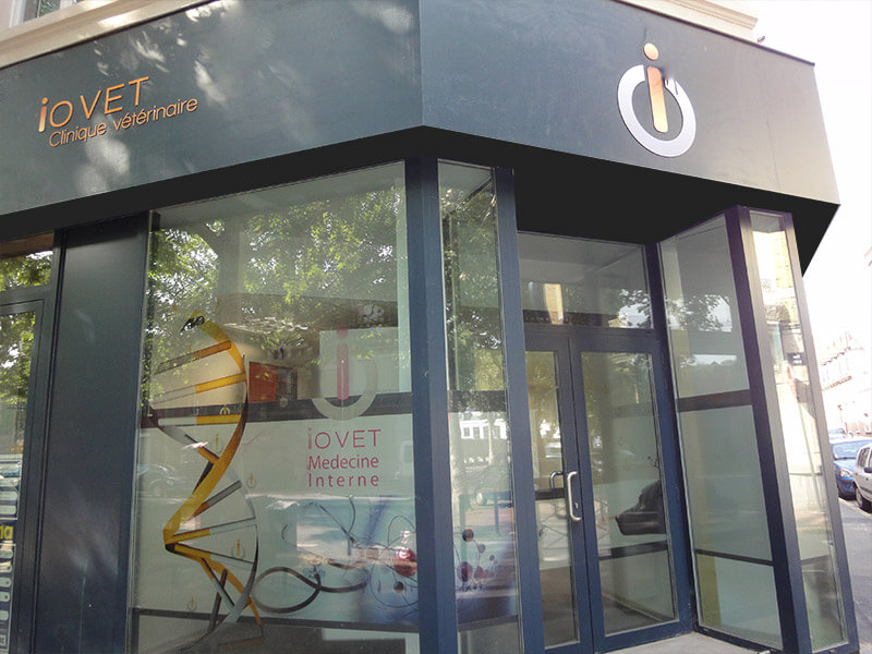 Façade extérieure de la clinique vétérinaire IO VET avec enseigne lumineuse, vitrine et logo, spécialisée en médecine interne à Lille