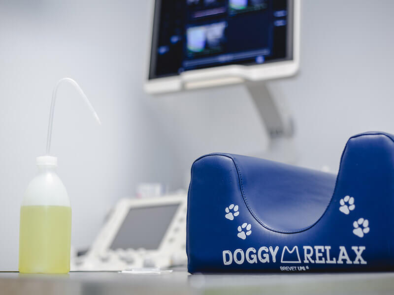 Support Doggy Relax bleu avec empreintes de pattes blanches et écran de monitoring vétérinaire en arrière-plan