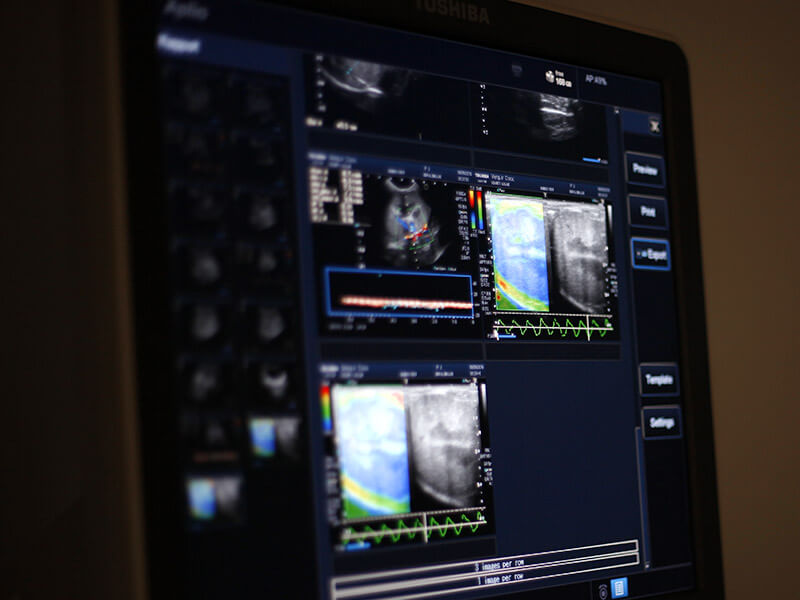Interface détaillée d'échographie vétérinaire montrant des images en mode Doppler et données diagnostiques