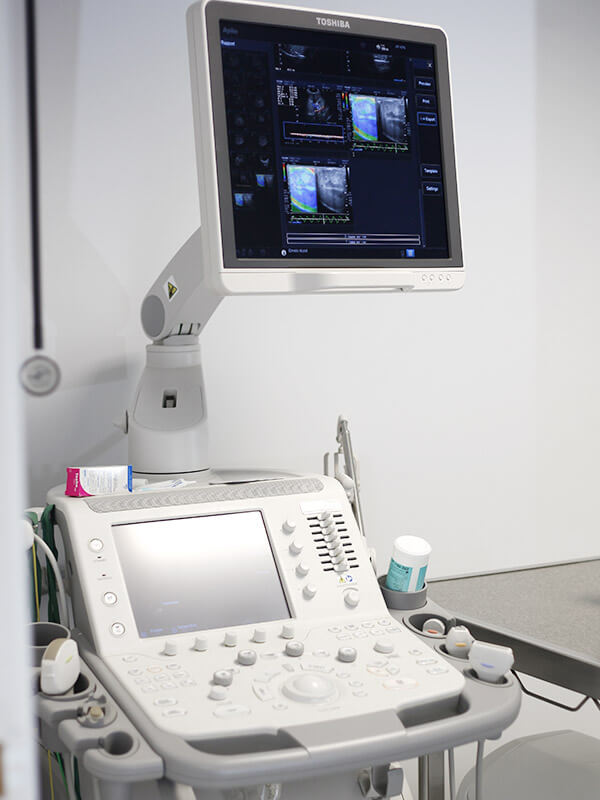 Appareil d'échographie vétérinaire complet avec écran Toshiba articulé et panneau de contrôle ergonomique