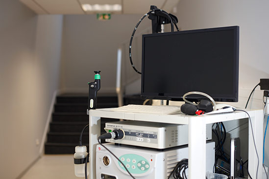 Endoscopie vétérinaire