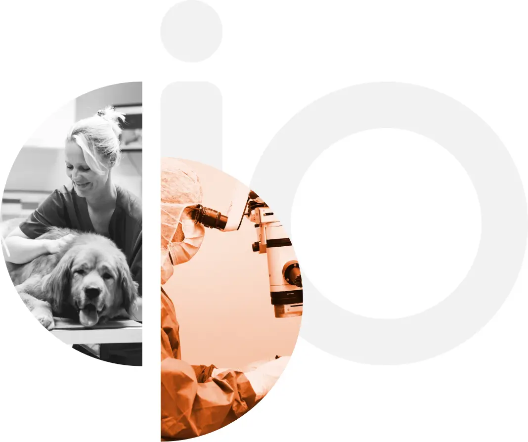 Grand logo IO VET composé de trois cercles entrelacés avec photo d'une vétérinaire examinant un chien et photo d'un vétérinaire en train de réaliser une opération chirurchicale optalmologique
