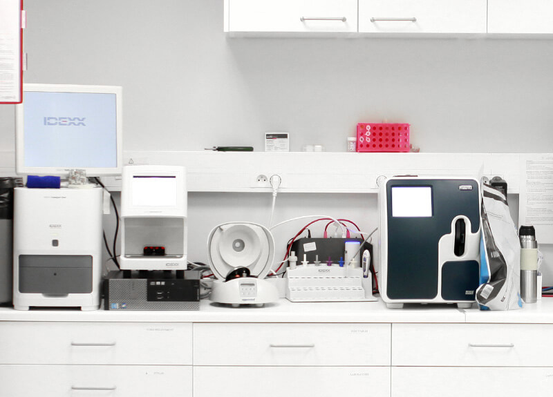 Laboratoire d'analyses vétérinaire Io Vet