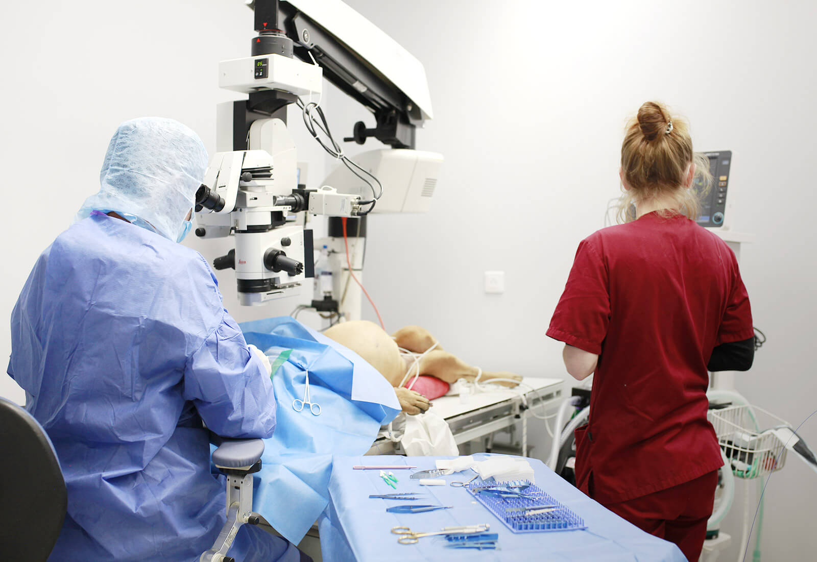 Chirurgien vétérinaire spécialisé en ophtalmologie à Lille, réalisant une opération de la cataracte sur un chien
