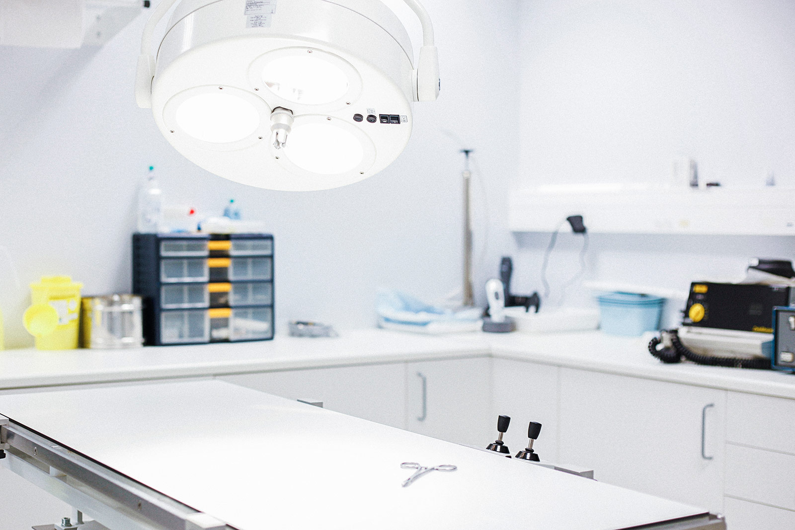 Salle d'opération d'une clinique vétérinaire : opération sous coelioscopie