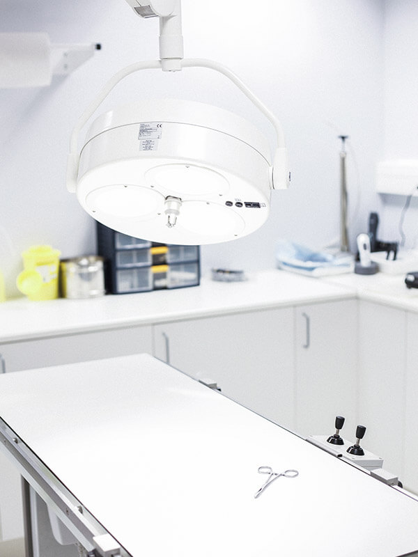 Salle d'opération vétérinaire moderne avec table chirurgicale blanche et scialytique LED au plafond