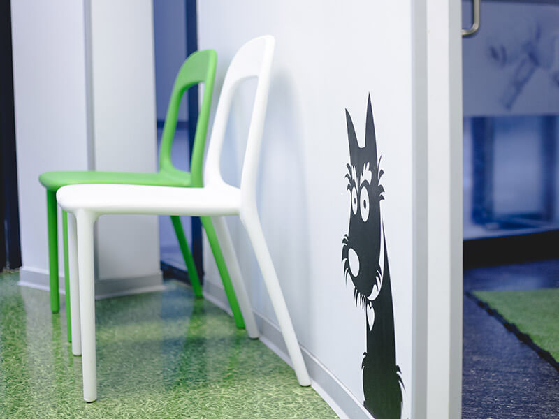 Salle d'attente de la clinique vétérinaire avec chaises blanches et vertes, décoré d'un sticker mural représentant un chien