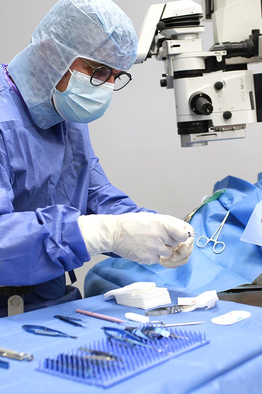 Vétérinaire manipulant ses instruments de chirurgie