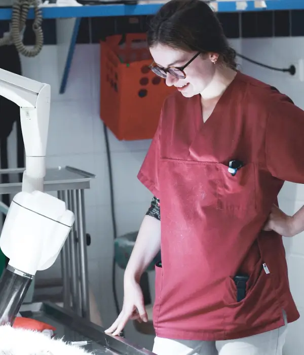 Aude DELAOUTRE, assistante vétérinaire IO Vet