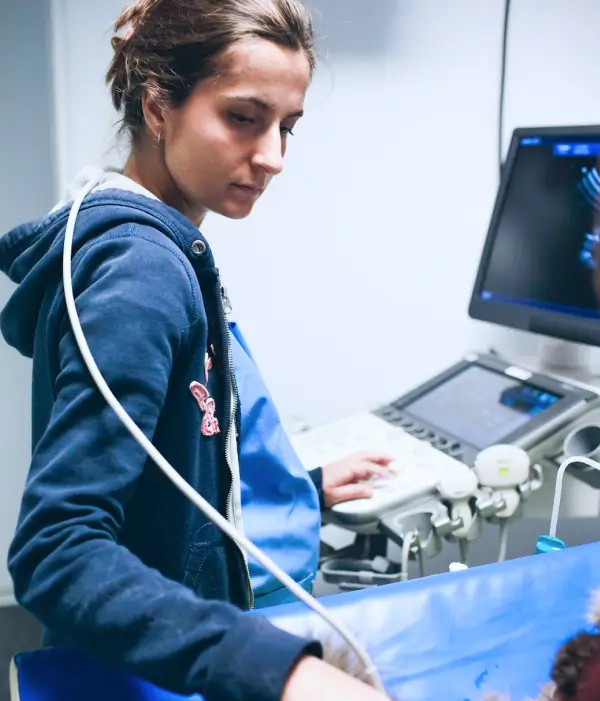 Docteur Constance DABROWSKI, vétérinaire de la clinique IO Vet
