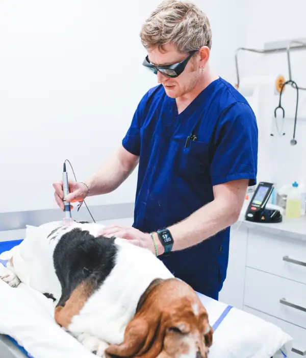 Docteur Nicolas SERGENT, vétérinaire de la clinique IO Vet