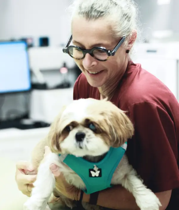 Véronique LANTOINE, assistante vétérinaire IO Vet