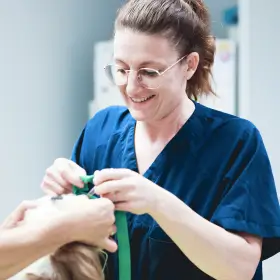 Elodie Dhamelincourt, vétérinaire à Lille spécialisée en ophtalmologie