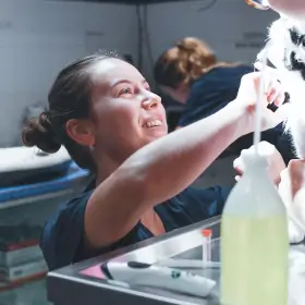 Karina Slipko, vétérinaire à Lille