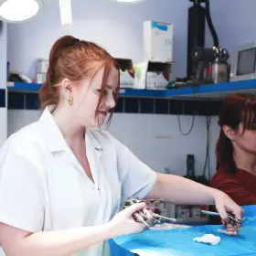 Marion Delanghe, assistante vétérinaire à Lille