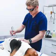 Nicolas Sergent, vétérinaire à Lille spécialisé en dentisterie