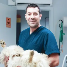 Pierre-Marie Lefebvre, vétérinaire à Lille spécialisé en chirurgie